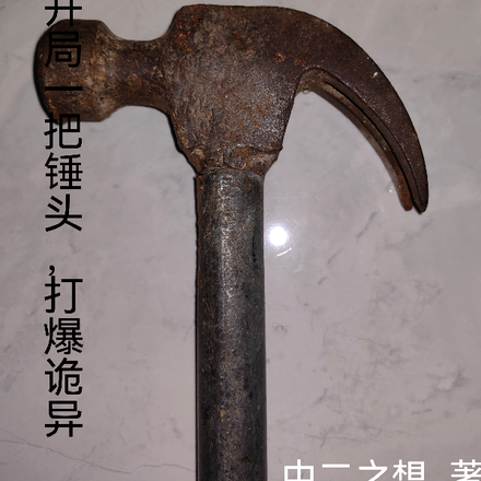 老子開局一把錘頭，打爆詭異