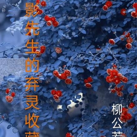 影先生的棄靈收藏集