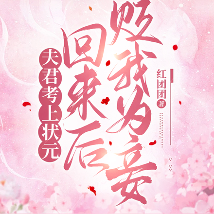 夫君考上狀元回來後貶我為妾