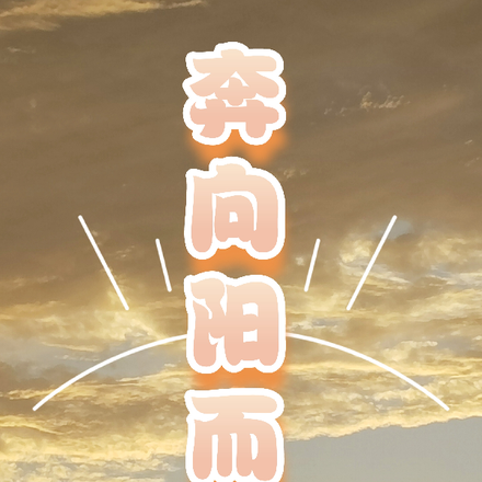 奔向陽而生
