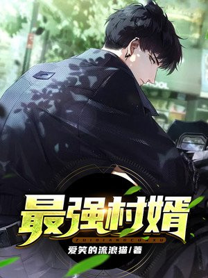最強村婿