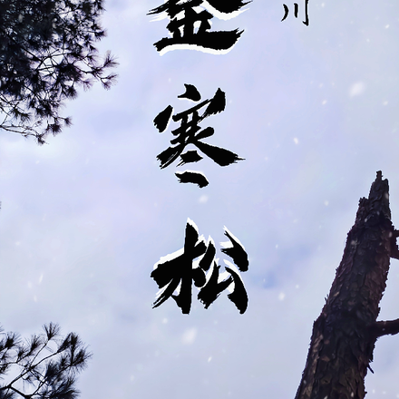 鑑寒松