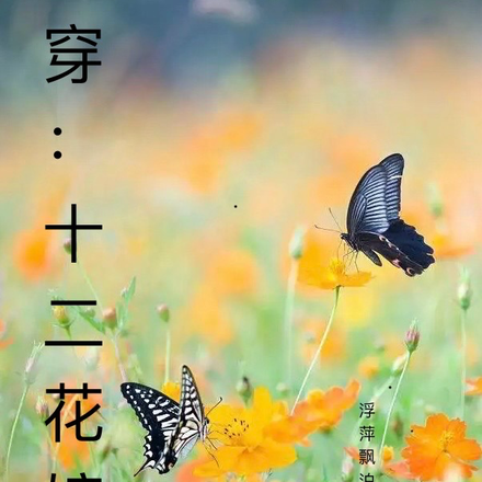 十二花嫁：快穿