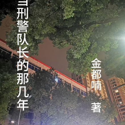 我當刑警隊長的那幾年