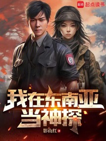 我在東南亞當神探