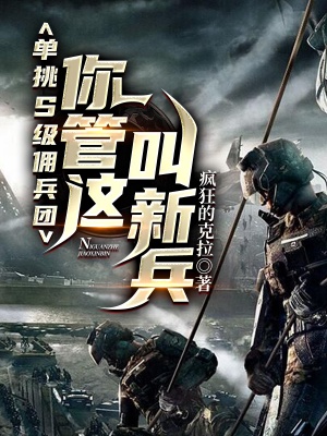 單挑S級傭兵團，你管這叫新兵？