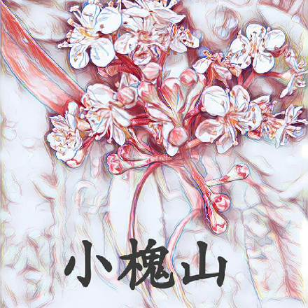 小槐山