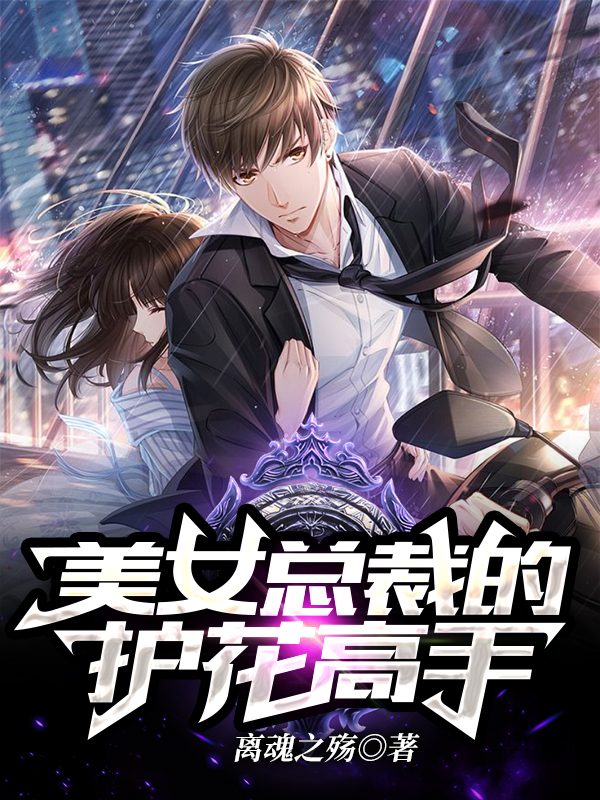 美女總裁的護花高手