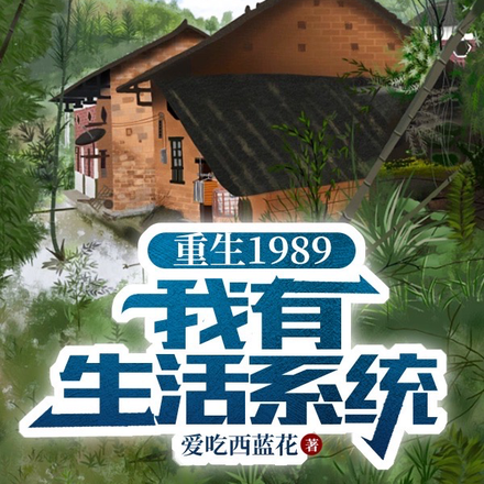 重生1989：我覺醒了生活系統