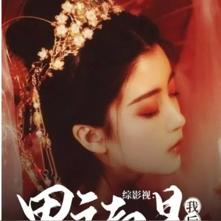 綜影視：男主都是我後宮