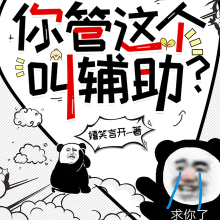 你管這個叫輔助？