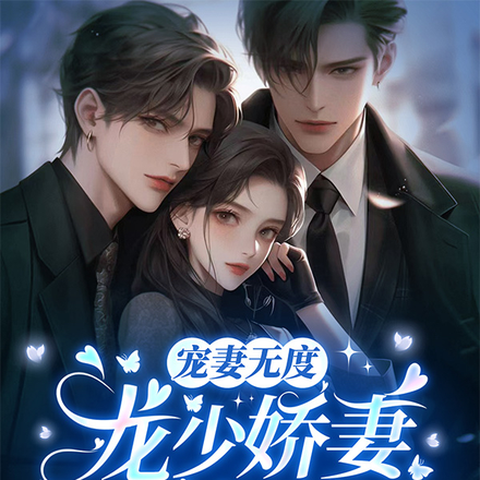 寵妻無度：龍少嬌妻又美又颯