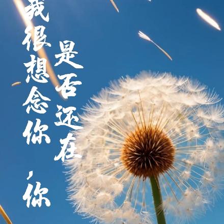 我很想念你，你是否還在