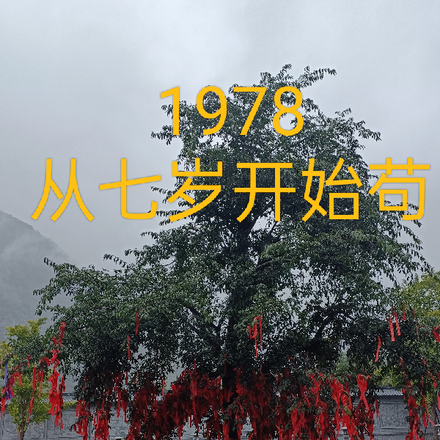 1978從七歲開始苟