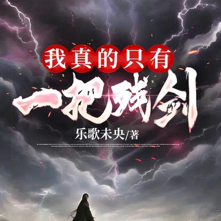 我真的只有一把殘劍