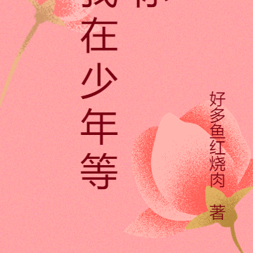 我在少年等你