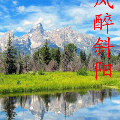 風醉斜陽