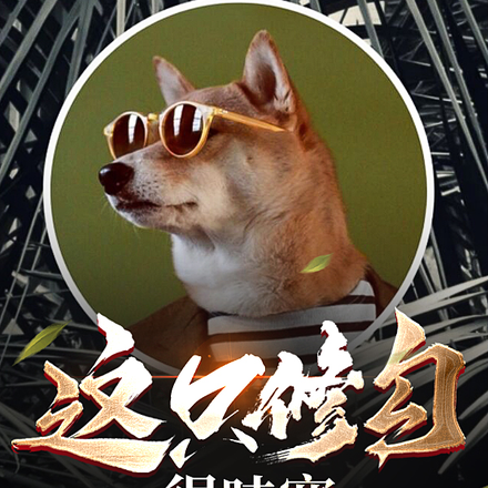 這隻修勾很哇塞