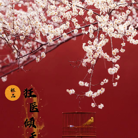 極品狂醫傾天下