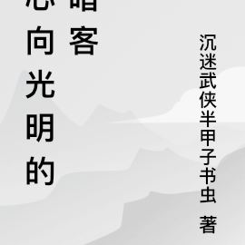 心向光明的暗客