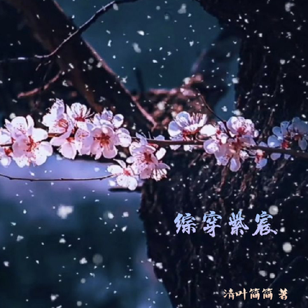 綜穿紫宸