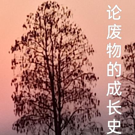 論廢物的成長史