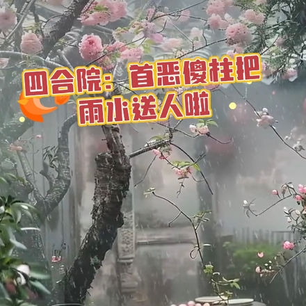四合院：首惡傻柱把雨水送人啦