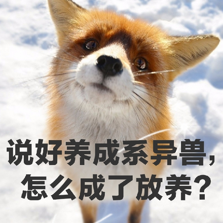 說好養成系異獸，怎麼成了放養？