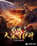 我成了大宋守護神