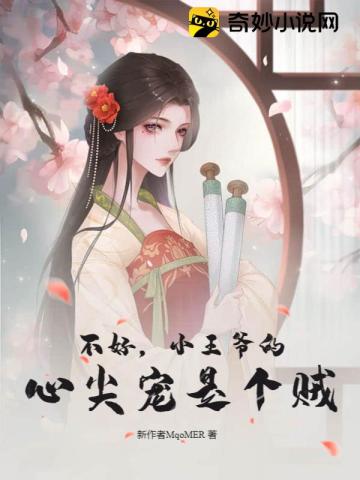 不好,小王爺的心尖寵是個賊